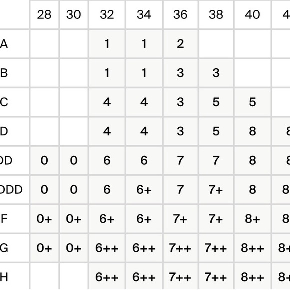 Knix X Anna Sui Wingwoman Contour Bra Size 2 Boudoir Bouquet Floral - Picture 5 of 5